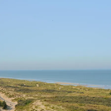 The 3 Sparrows With A Location Koksijde