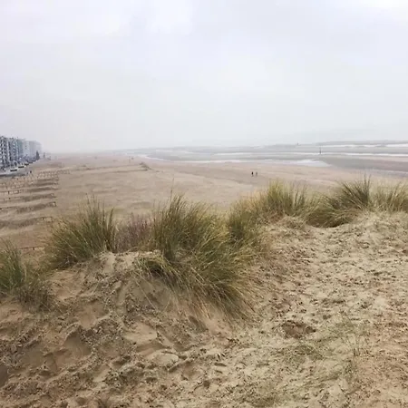 In Near The Koksijde