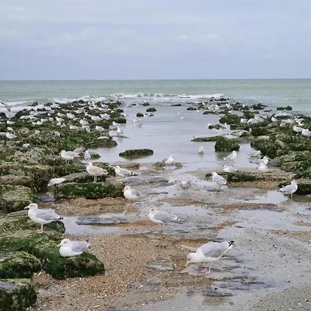 In Near The Koksijde